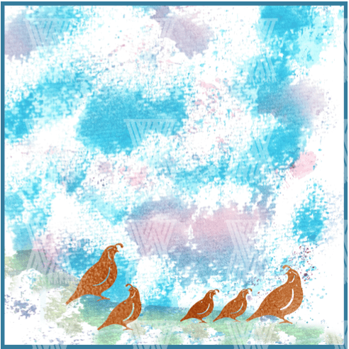 Exodus Sermon Series Bundle