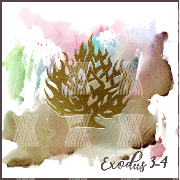 Exodus Sermon Series Bundle