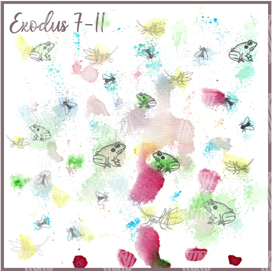 Exodus Sermon Series Bundle