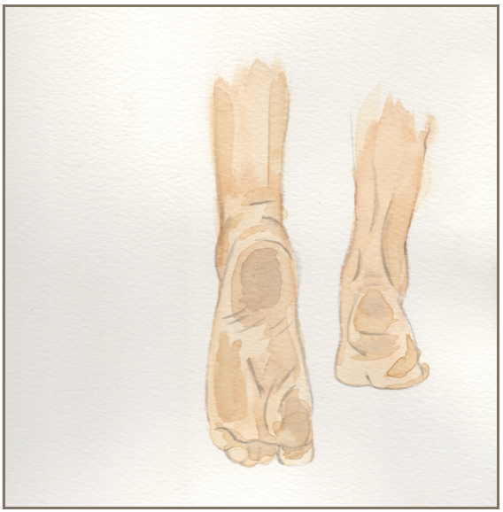 Bare Feet Watercolor Painting